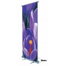 Roll-up Vision Electric - Obiecte personalizate